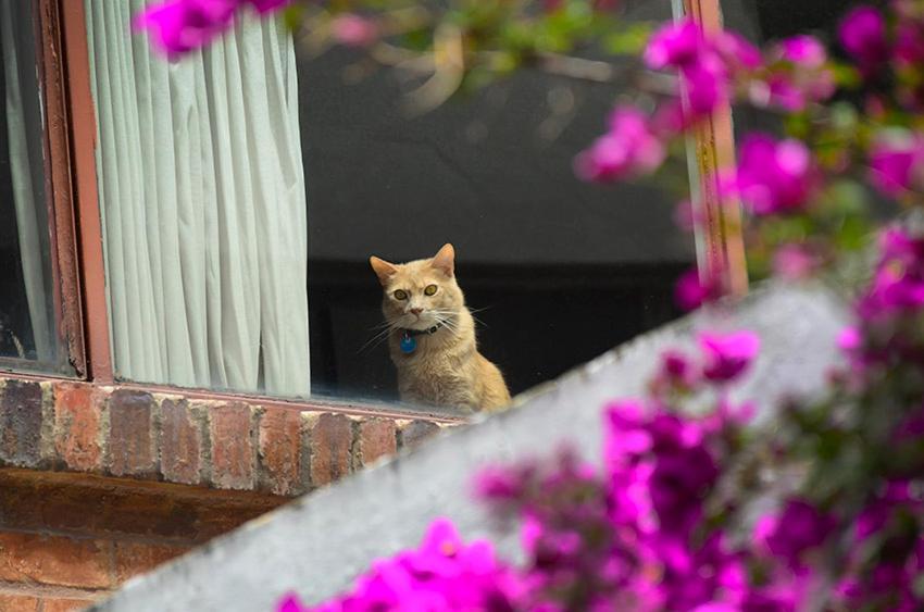 Hostal La Pinta Bogotá Zewnętrze zdjęcie